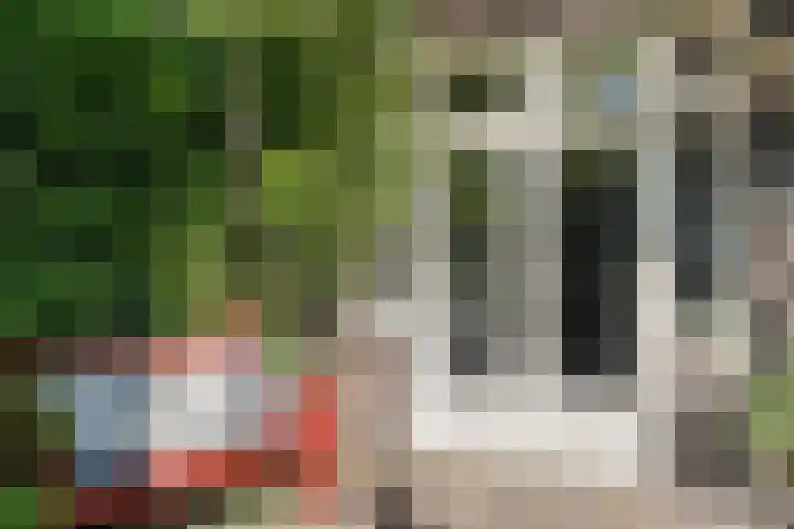 Strijpsestraat 173 Eindhoven thumbnail 37