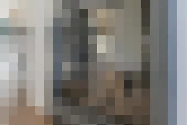 Strijpsestraat 173 Eindhoven thumbnail 4