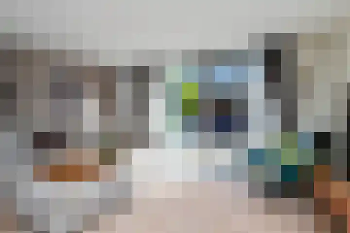 Strijpwetering 20 Rijswijk thumbnail 12