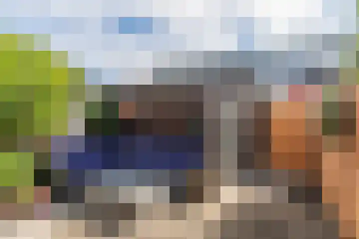 Strijpwetering 20 Rijswijk thumbnail 13