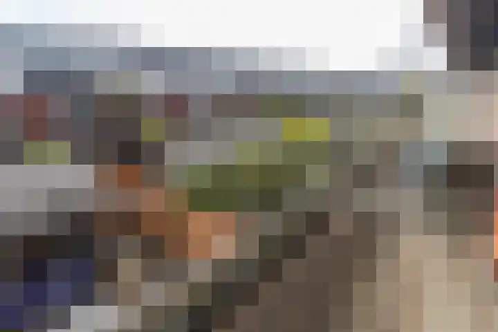 Strijpwetering 20 Rijswijk thumbnail 17
