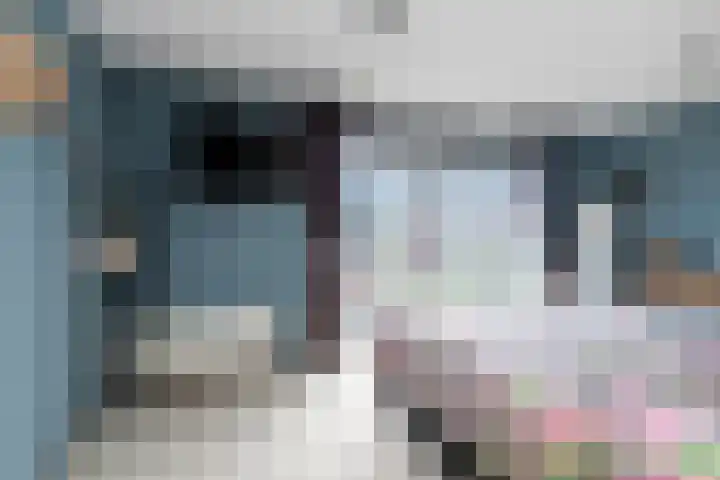 Strijpwetering 20 Rijswijk thumbnail 19