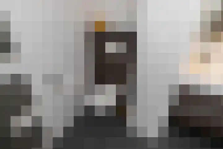 Strijpwetering 20 Rijswijk thumbnail 22
