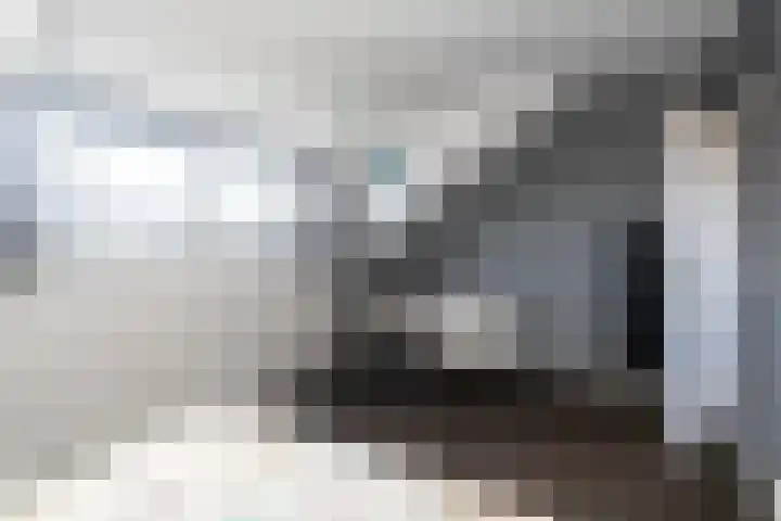 Strijpwetering 20 Rijswijk thumbnail 26