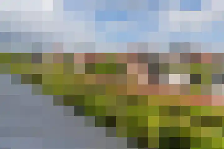 Strijpwetering 20 Rijswijk thumbnail 28