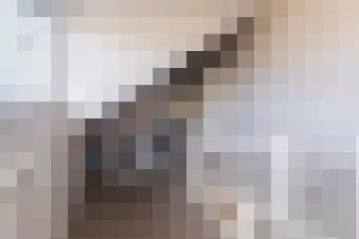 Strijpwetering 20 Rijswijk thumbnail 29