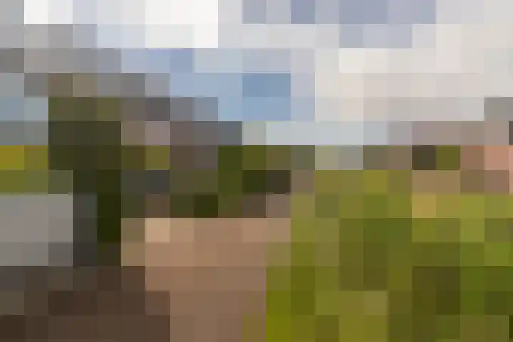 Strijpwetering 20 Rijswijk thumbnail 32