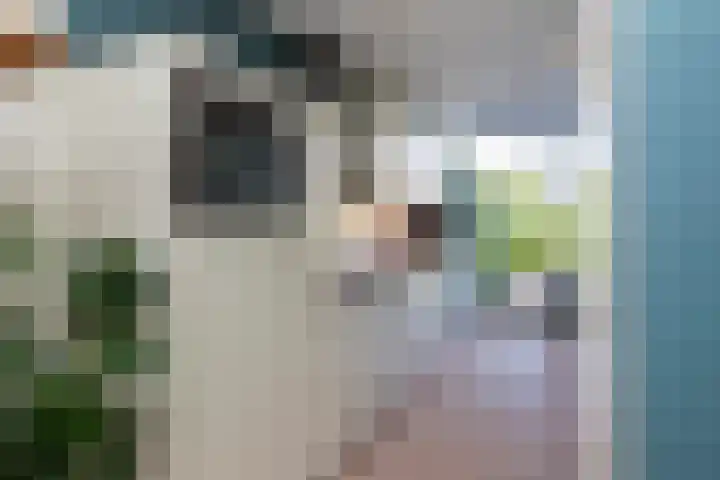 Strijpwetering 20 Rijswijk thumbnail 7