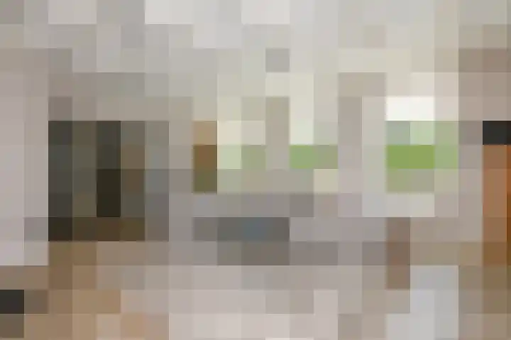 Strijpwetering 39 Rijswijk thumbnail 10