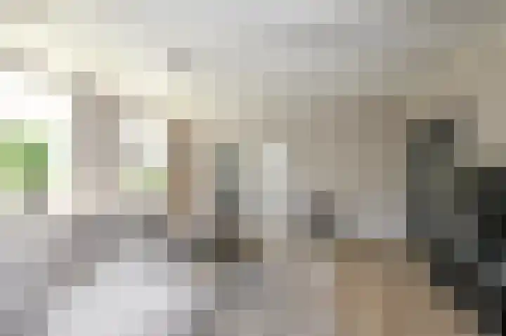Strijpwetering 39 Rijswijk thumbnail 11
