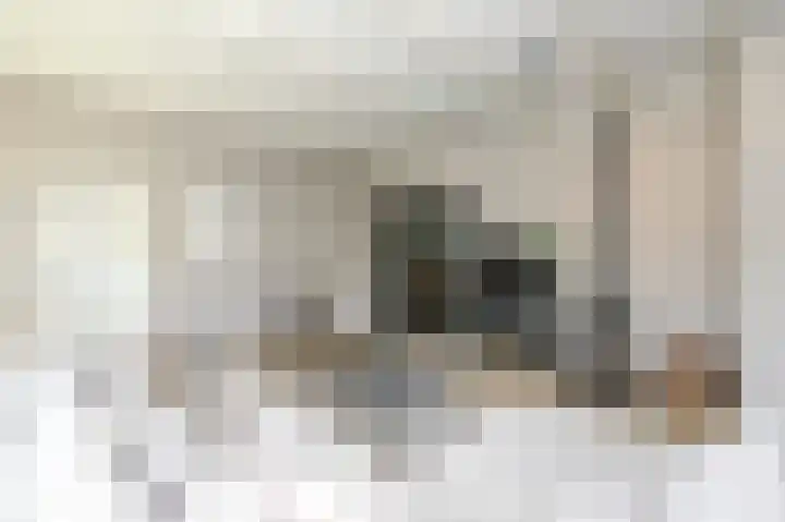Strijpwetering 39 Rijswijk thumbnail 12