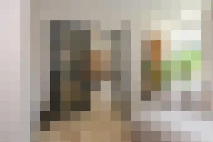 Strijpwetering 39 Rijswijk thumbnail 13