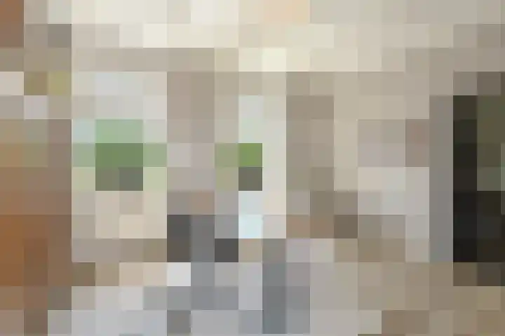 Strijpwetering 39 Rijswijk thumbnail 15