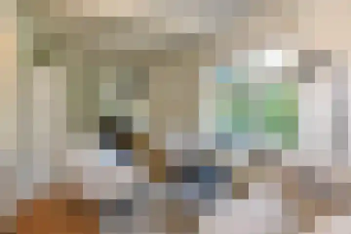 Strijpwetering 39 Rijswijk thumbnail 17