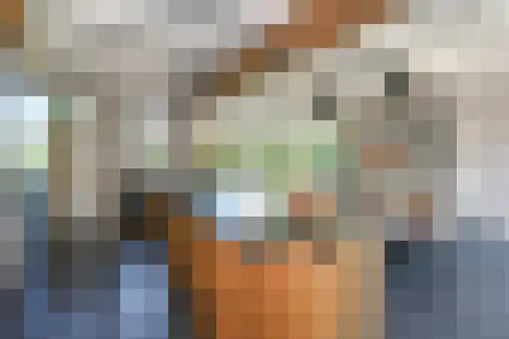 Strijpwetering 39 Rijswijk thumbnail 18