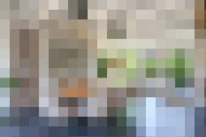 Strijpwetering 39 Rijswijk thumbnail 20