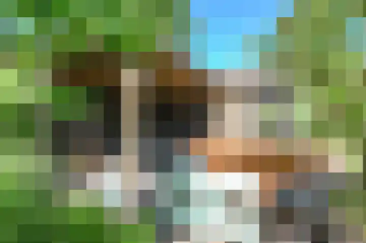 Strijpwetering 39 Rijswijk thumbnail 29