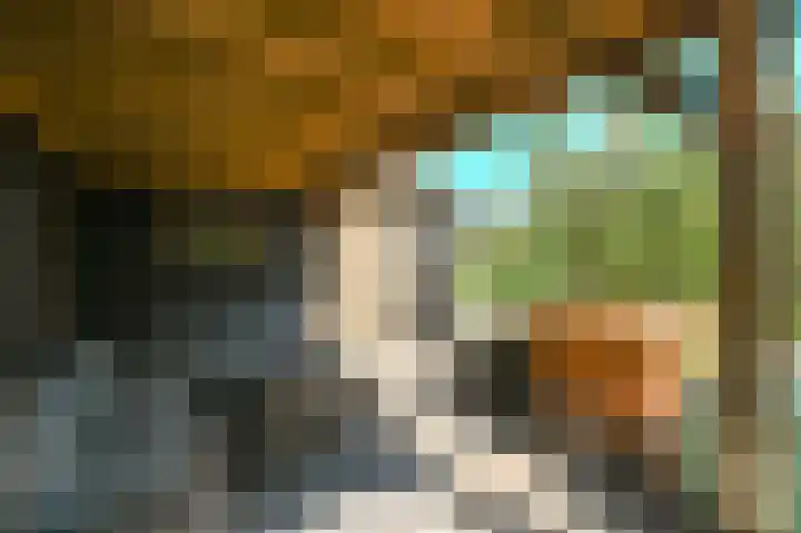 Strijpwetering 39 Rijswijk thumbnail 30