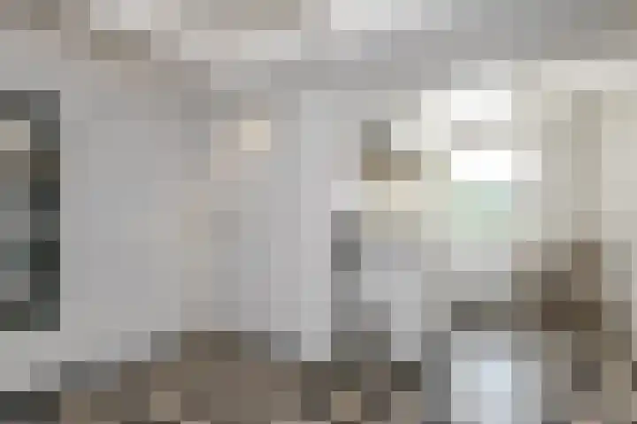 Strijpwetering 39 Rijswijk thumbnail 36