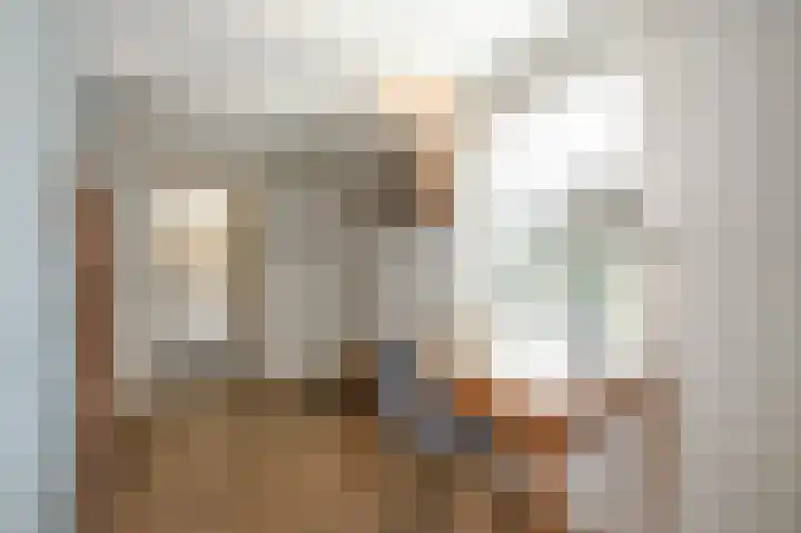 Strijpwetering 39 Rijswijk thumbnail 37