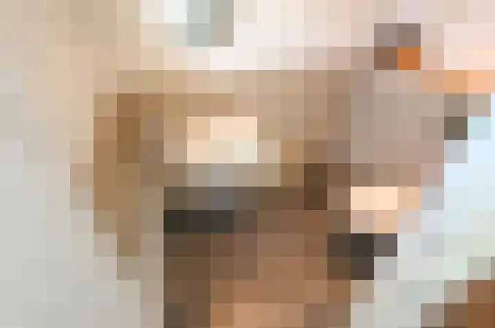 Strijpwetering 39 Rijswijk thumbnail 47