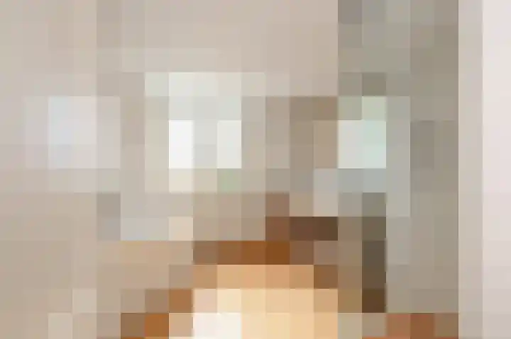 Strijpwetering 39 Rijswijk thumbnail 54