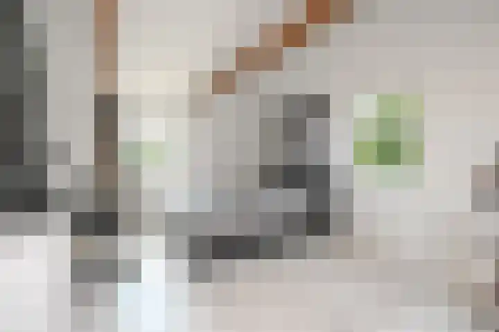 Strijpwetering 39 Rijswijk thumbnail 57
