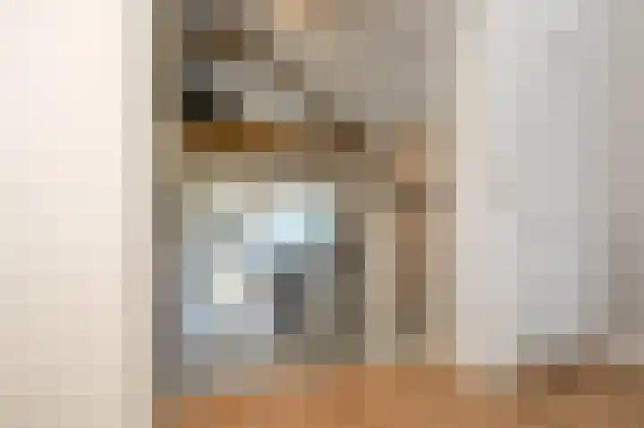 Strijpwetering 39 Rijswijk thumbnail 61