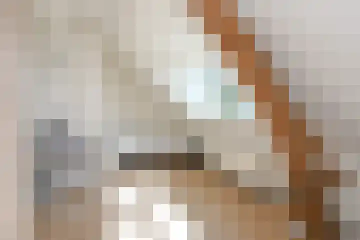 Strijpwetering 39 Rijswijk thumbnail 62