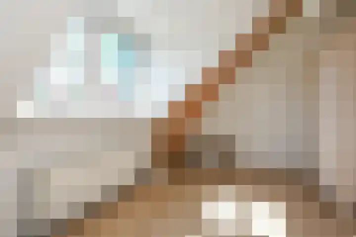 Strijpwetering 39 Rijswijk thumbnail 63