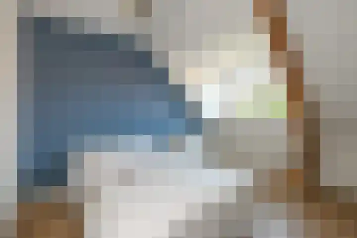 Strijpwetering 39 Rijswijk thumbnail 65