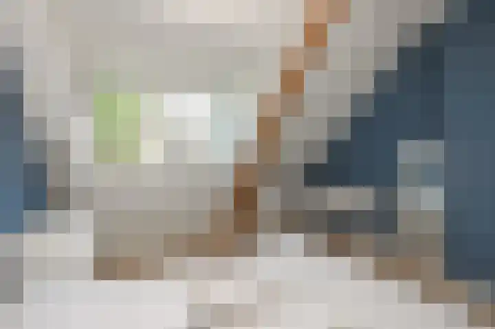 Strijpwetering 39 Rijswijk thumbnail 66