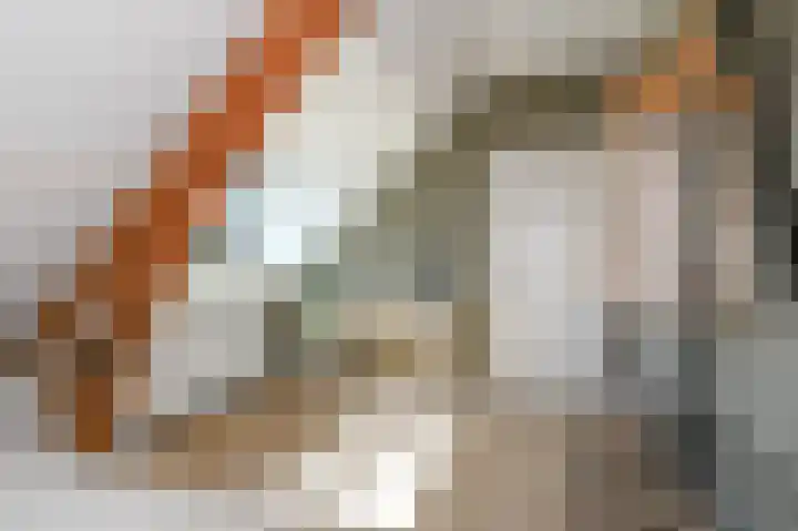 Strijpwetering 39 Rijswijk thumbnail 74