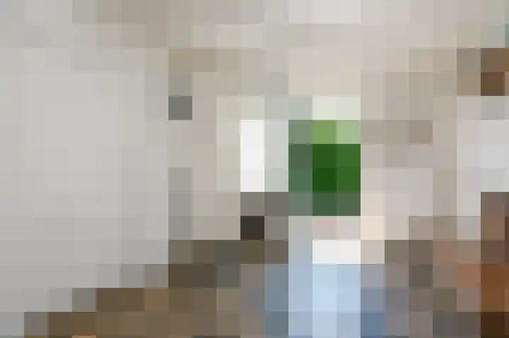 Strijpwetering 39 Rijswijk thumbnail 9