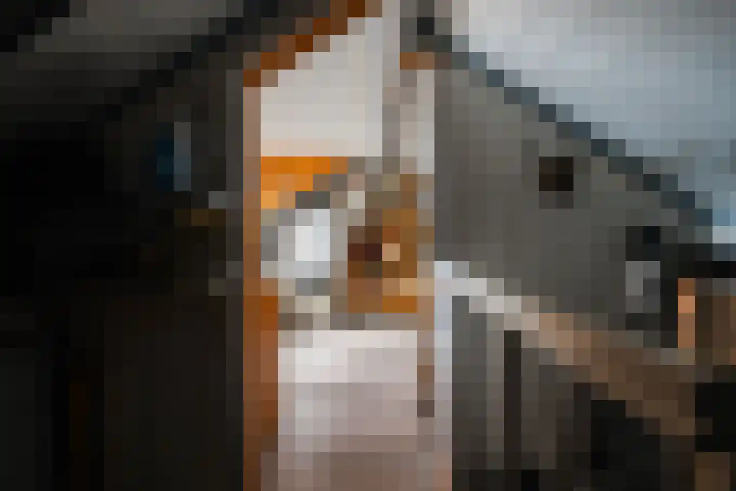 Strijthagenweg 124 Kerkrade thumbnail 30
