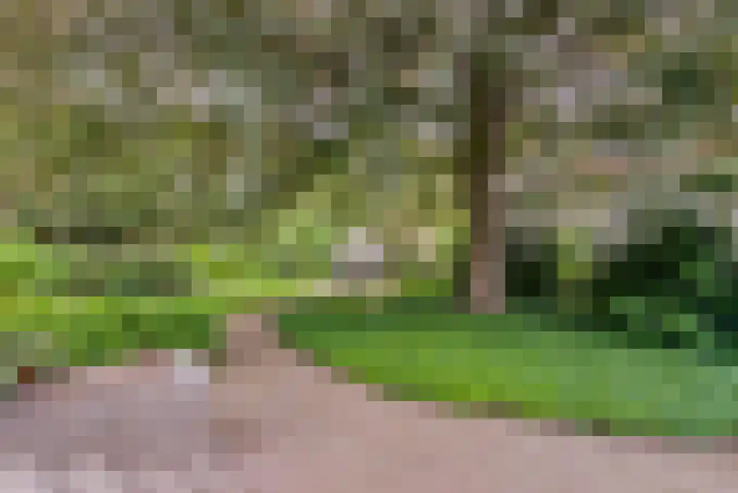 Strijthagerweg 15 Landgraaf thumbnail 62