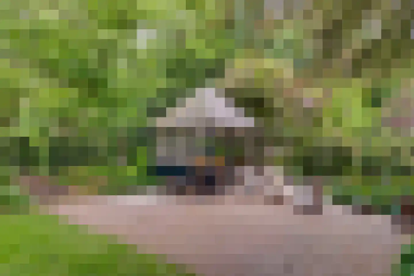 Strijthagerweg 15 Landgraaf thumbnail 64