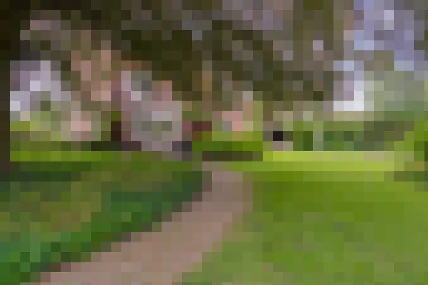 Strijthagerweg 15 Landgraaf thumbnail 65