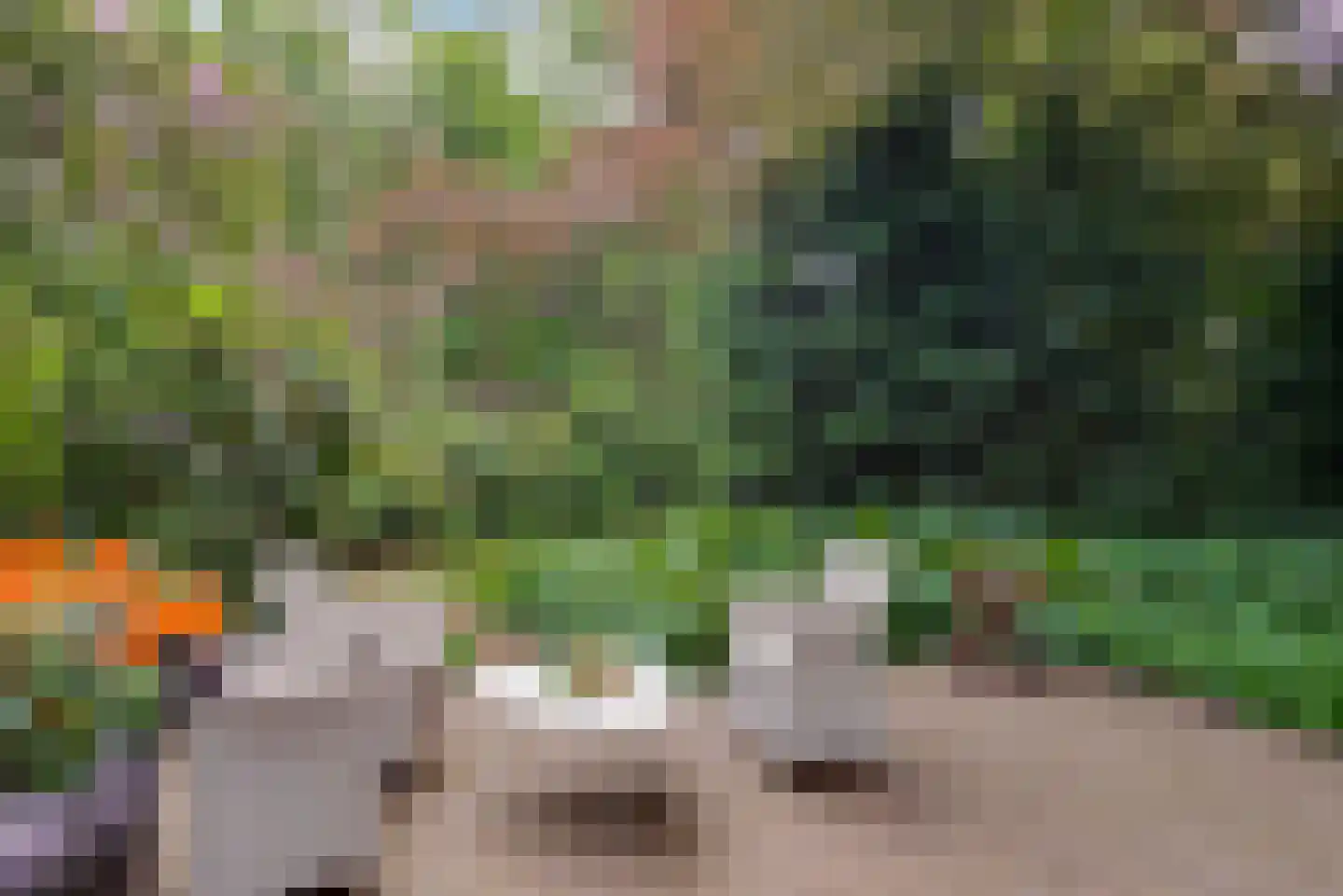 Strijthagerweg 15 Landgraaf thumbnail 66