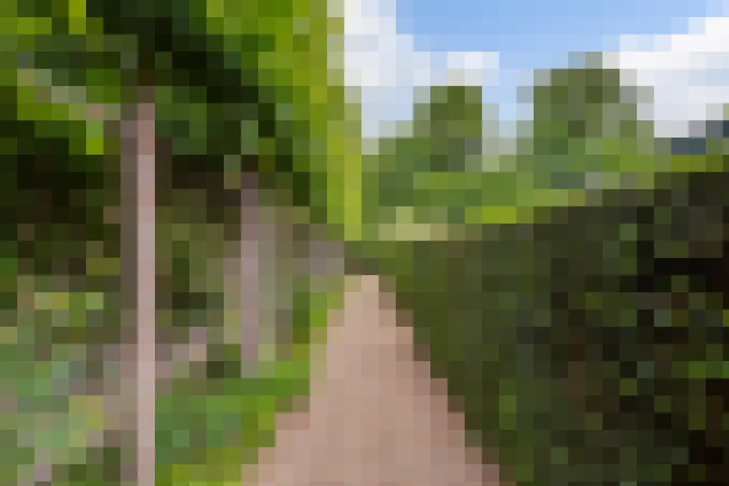 Strijthagerweg 15 Landgraaf thumbnail 69