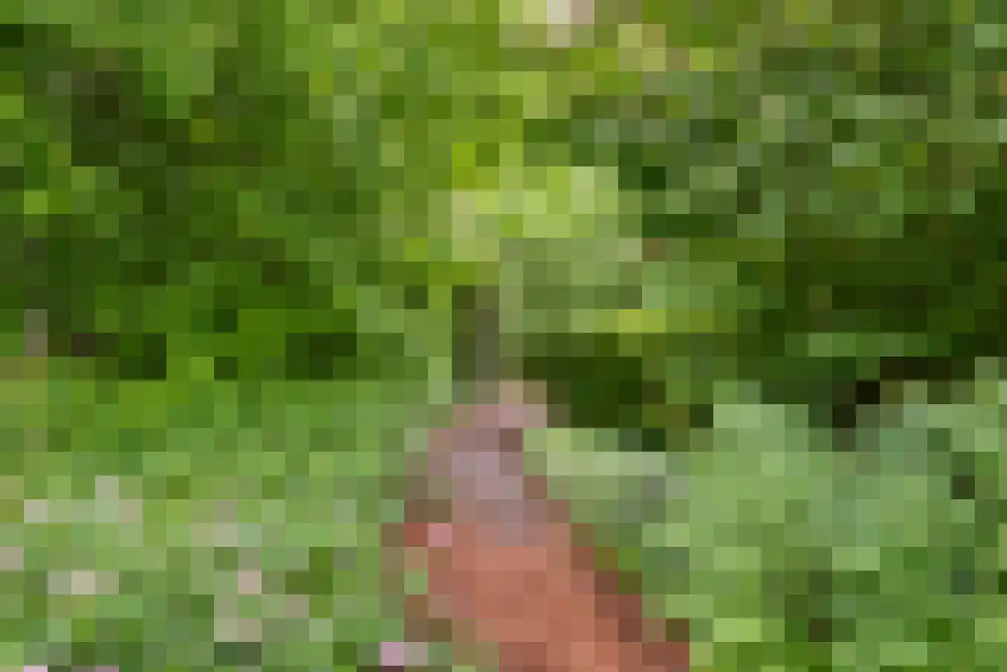 Strijthagerweg 15 Landgraaf thumbnail 74