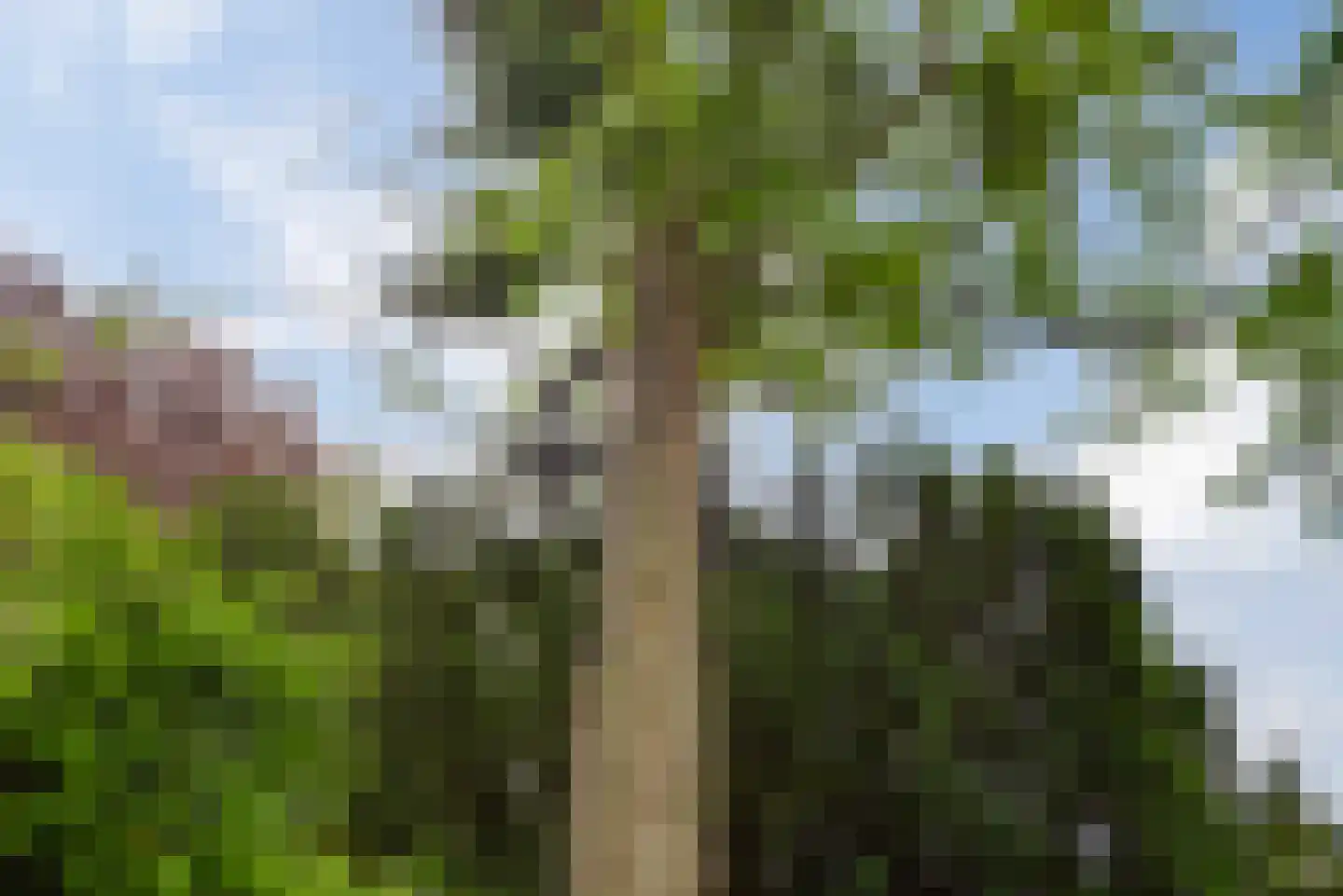 Strijthagerweg 15 Landgraaf thumbnail 75