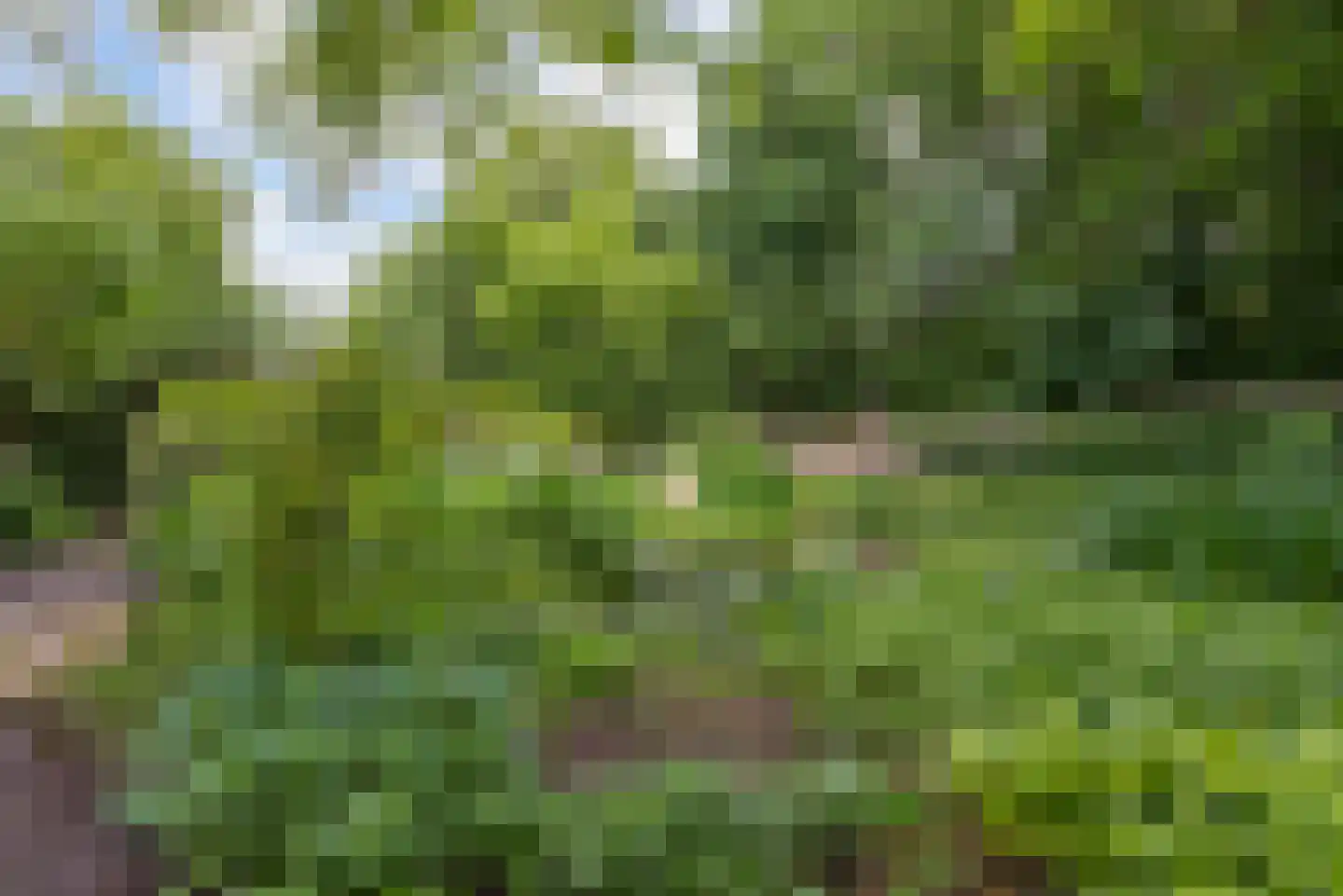 Strijthagerweg 15 Landgraaf thumbnail 76