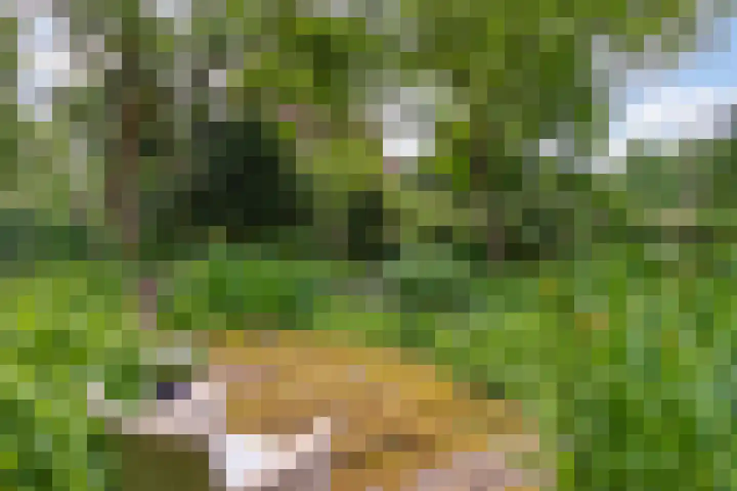 Strijthagerweg 15 Landgraaf thumbnail 79