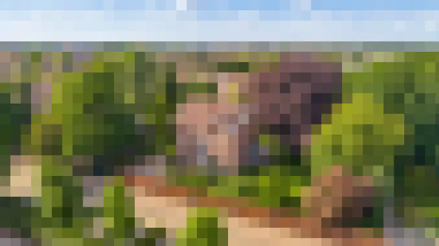 Strijthagerweg 15 Landgraaf thumbnail 86