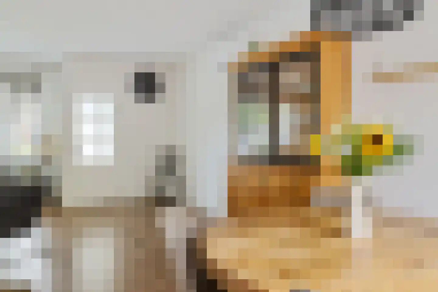 Strikel 10 Ureterp thumbnail 10