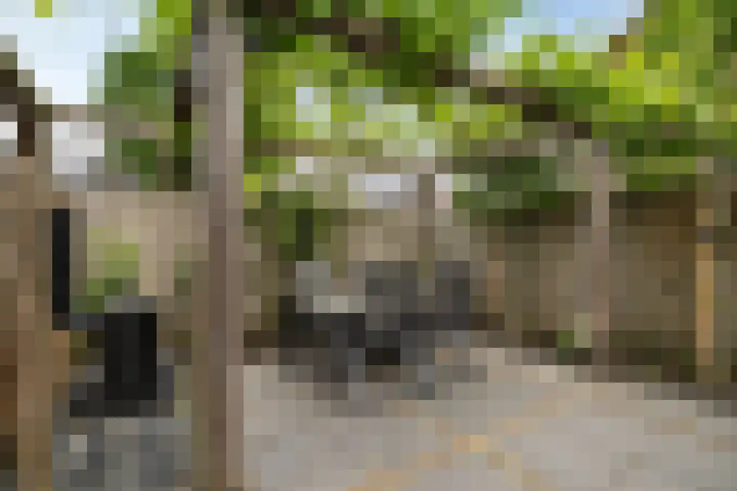 Strikel 10 Ureterp thumbnail 32