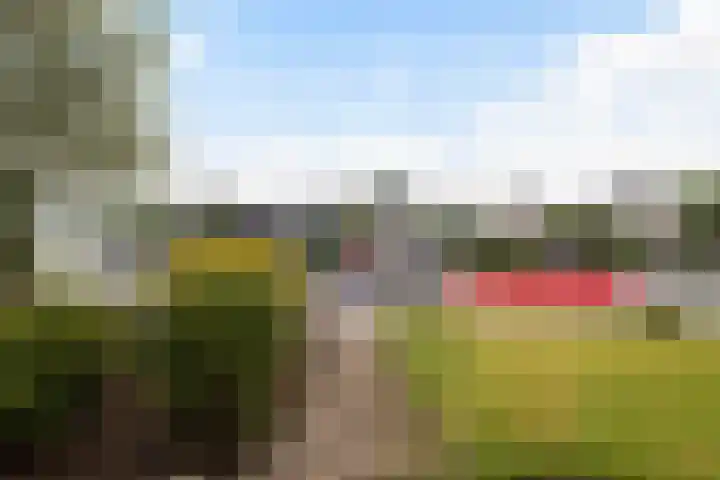 Strikel 18 Terherne thumbnail 10