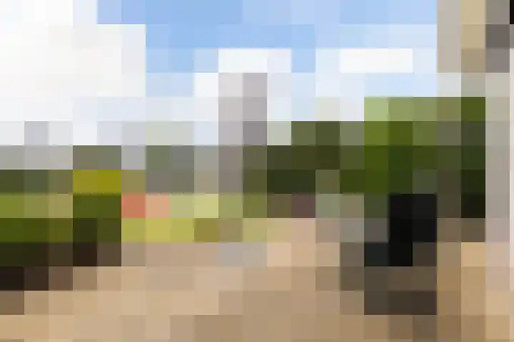 Strikel 18 Terherne thumbnail 11