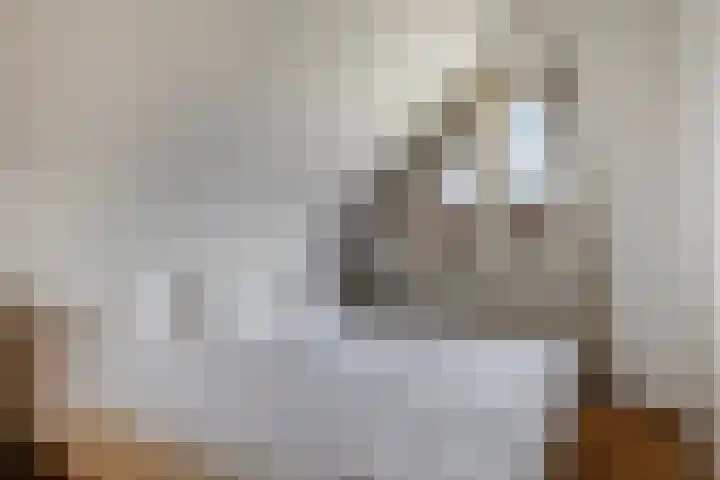 Strikel 18 Terherne thumbnail 34